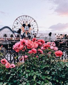 Disney California Adventure Park, Anaheim, USA, Instagram, Giuditta Mosca, giornalismo, data journalist, www.press-it.it, press-IT assistenza informatica Roma, qualità, fiducia, serietà, Germano Raiola